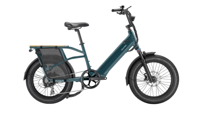 Cheap electric bike for delivery jobs