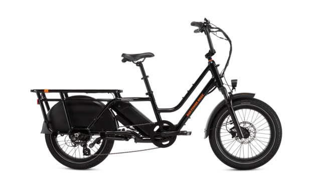 Rad Power Bikes RadWagon 5